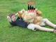 Alcohol Drives Man To Kill 70,000 Chickens